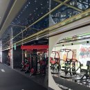 바이젝 월드 피트니스 이미지