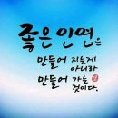 비단 이미지