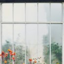 향기약국 이미지