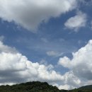 중앙교회 앞(대공원길) | 2025 원 유니버스 페스티벌 OUF 2일차 후기 @서울대공원 주차광장