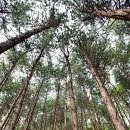 자연의 품 이미지