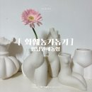 영남화훼농협 | 카카오메이커스 화훼농가돕기 영남원예농협 후기