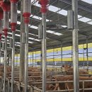 경영축산 이미지