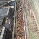 강진여자중학교 | 학교 배수로 청소 관리 안 하면 위험한 이유! 강진여중 작업 후기