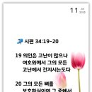 빈야드안경 네이버블로그