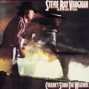 [LP] Stevie Ray Vaughan - Couldn't Stand The Weather 중고LP 판매합니다. 이미지