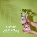 포레스트 이미지