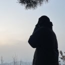 부산진오뎅 - 안양시 동안구 평촌대로223번길 36 | 부산진오뎅