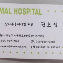 상아동물병원 이미지