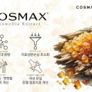 맥스바이오 데일리안