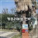 카프리애월민박 이미지