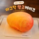 네모 | 성수 네모네 카페 후기｜아그작케이크 마그작 맘고와 주차