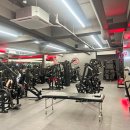 팔로우짐 이미지