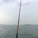 해광회타운 | 바다낚시 도전기 인천배낚시 해광유선에서 우럭 득템!