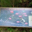 자작나무집 펜션 이미지