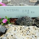 포리롱월정 네이버블로그