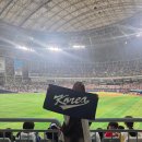 김밥만두국가대표 | [직관 후기 251108] 2025 K-BASEBALL SERIES 국가대표 평가전 체코 vs 대한민국 1차전 | 고척스카이돔...
