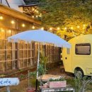 프린세스애견 이미지