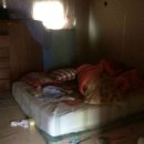 경도농장 이미지