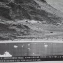 2 과거 사회의 붕괴 / 제7장 노르웨이령 그린란드의 시작과 발전/ 토종 식물들과 토종 동물들 이미지