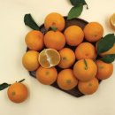 석희농장 이미지