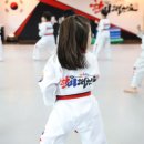 한미태권도장 이미지