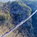 영호초교 이미지