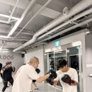 언더독 복싱 이미지