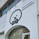 또와또 | 해운대 애견호텔링 추천 또와또 이용후기- CCTV로 실시간 확인 가능하고 미용 서비스까지 완벽했던...