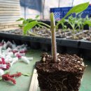 엄마사진관 이미지