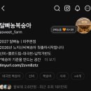 달빠농 망고 복숭아 하우스 신비 물복 대극천 딱복 후기