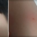 일양반점 이미지