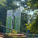 호두나무캠핑장 | 천안 [호두나무캠핑장] 광덕계곡|수영장 / 사이트 소개&amp; 실망 가득 솔직후기