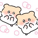 GS25 갈매행운점 이미지