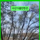 주식회사 신정문화 네이버블로그