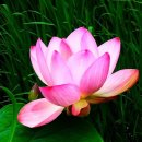 양산호수공원 이미지