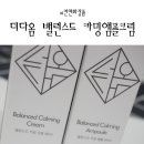 더다옴 이미지