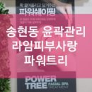 윤피부사랑 이미지