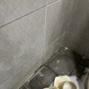 더클린산업 이미지