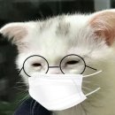 꿀꿀이와닭갈비 이미지