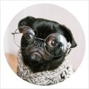 마크스안경 이미지