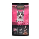 레오나르도 이미지