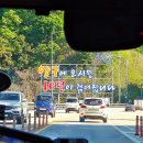양구볼링장 이미지