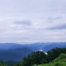 전교농장 이미지