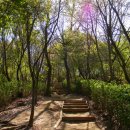 서리풀길 4 이미지