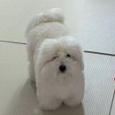 에이스학원 이미지