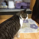 지에스(GS)25 연제퀸즈점 | 상실이네+2198 발목골절수술 1426일, 핀제거수술 940일 애슐리퀸즈 런치, 마포구 산책 그리고 낮잠 ㅋ