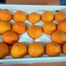 철민농장 이미지