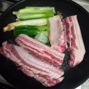 세종시티약국 | 20251109-20251115