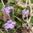 진배농장 이미지